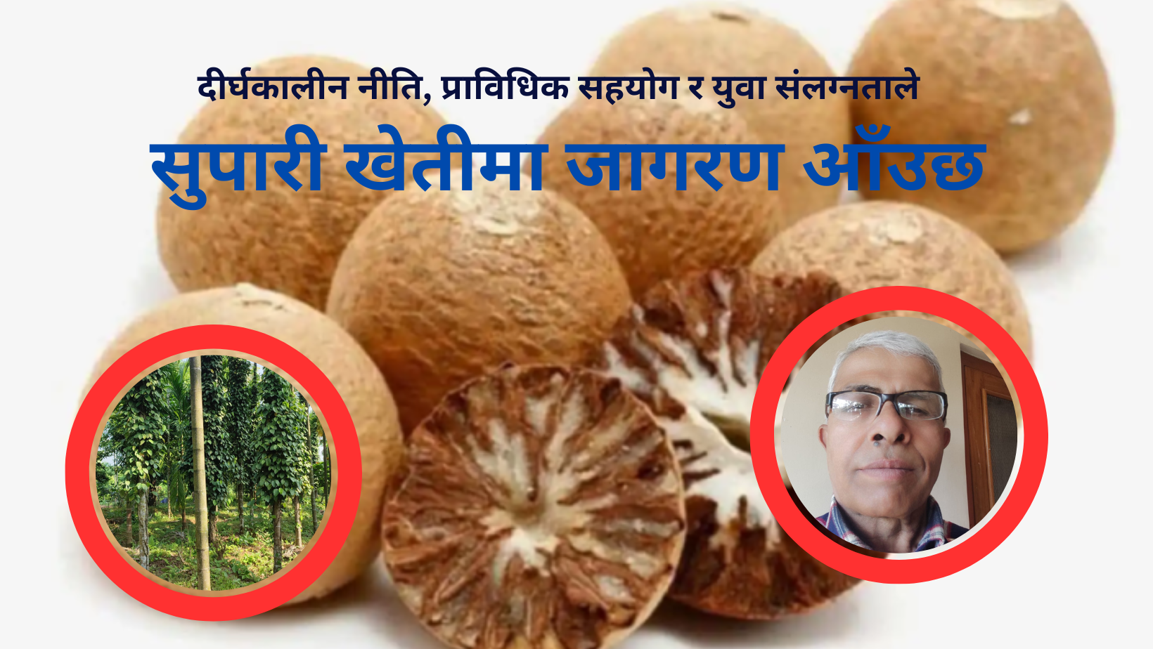 दीर्घकालीन नीति, प्राविधिक सहयोग र युवा संलग्नताले सुपारी खेतीमा जागरण आँउछ