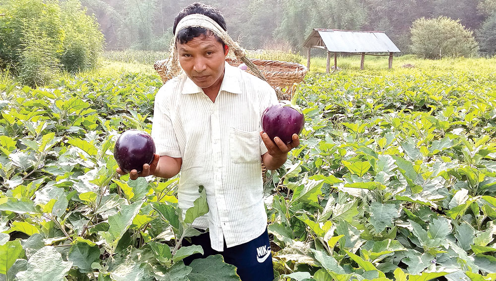 माटोमै खेलेर मासिक तीन लाख