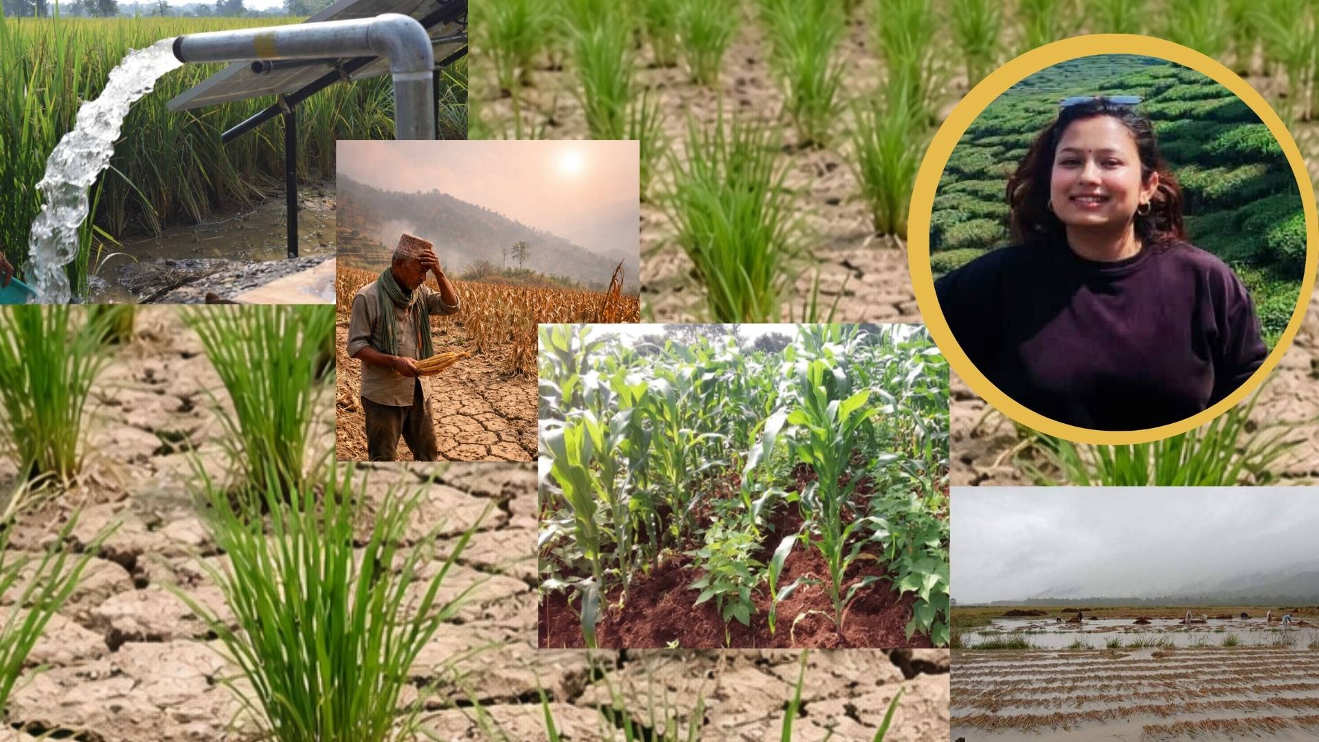 Sowing Resilience: How Nepal’s Farmers are Out-smarting a Changing Climate