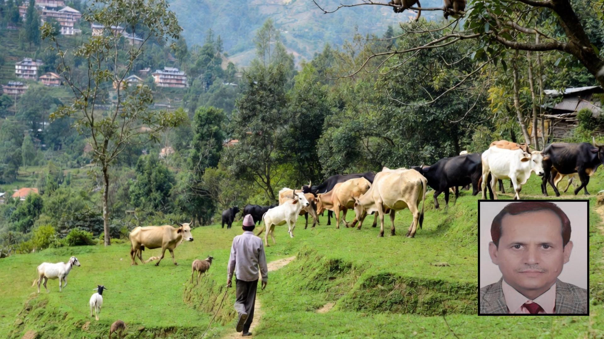 बाँदर व्यवस्थापनमा पशुपालनको भूमिका