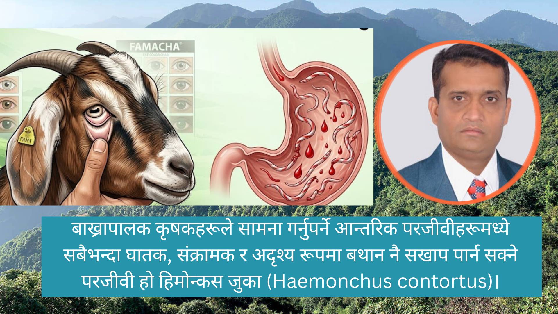 भेडा/बाख्रामा लाग्ने ‘साइलेन्ट किलर’ अर्थात् हिमोन्कस जुकासम्बन्धी जानकारी
