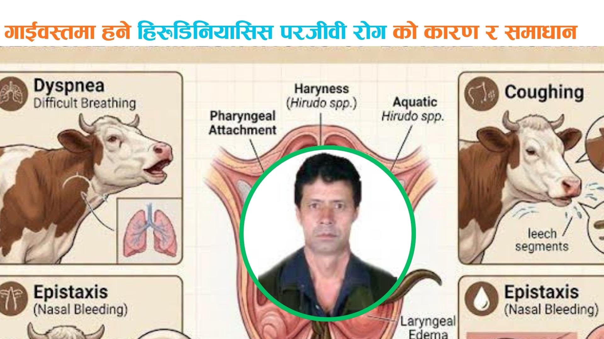 गाईवस्तुमा हुने हिरुडिनियासिस परजीवी रोग