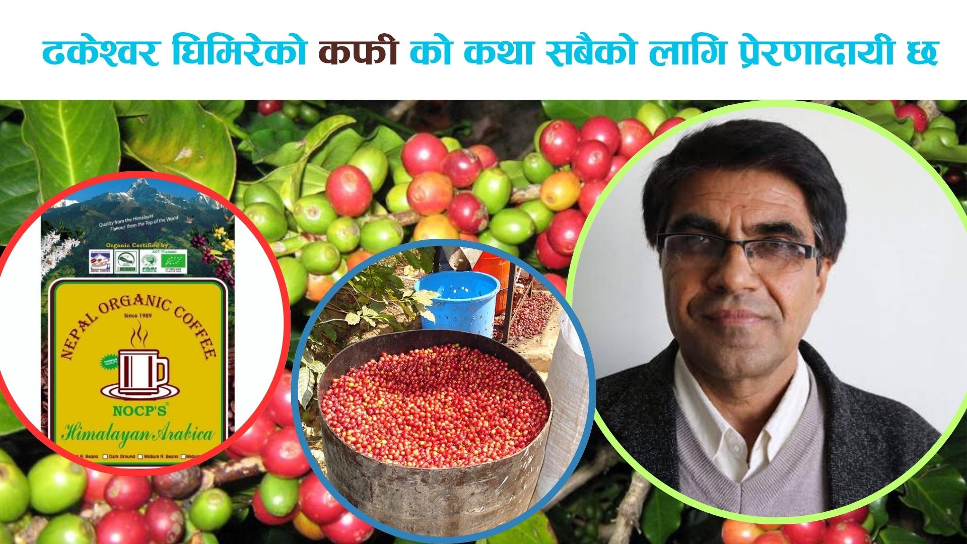 ढकेश्वर घिमिरेको कफी क्रान्तिको सङ्घर्ष, सुवास र दूरगामी सफलताको महागाथा
