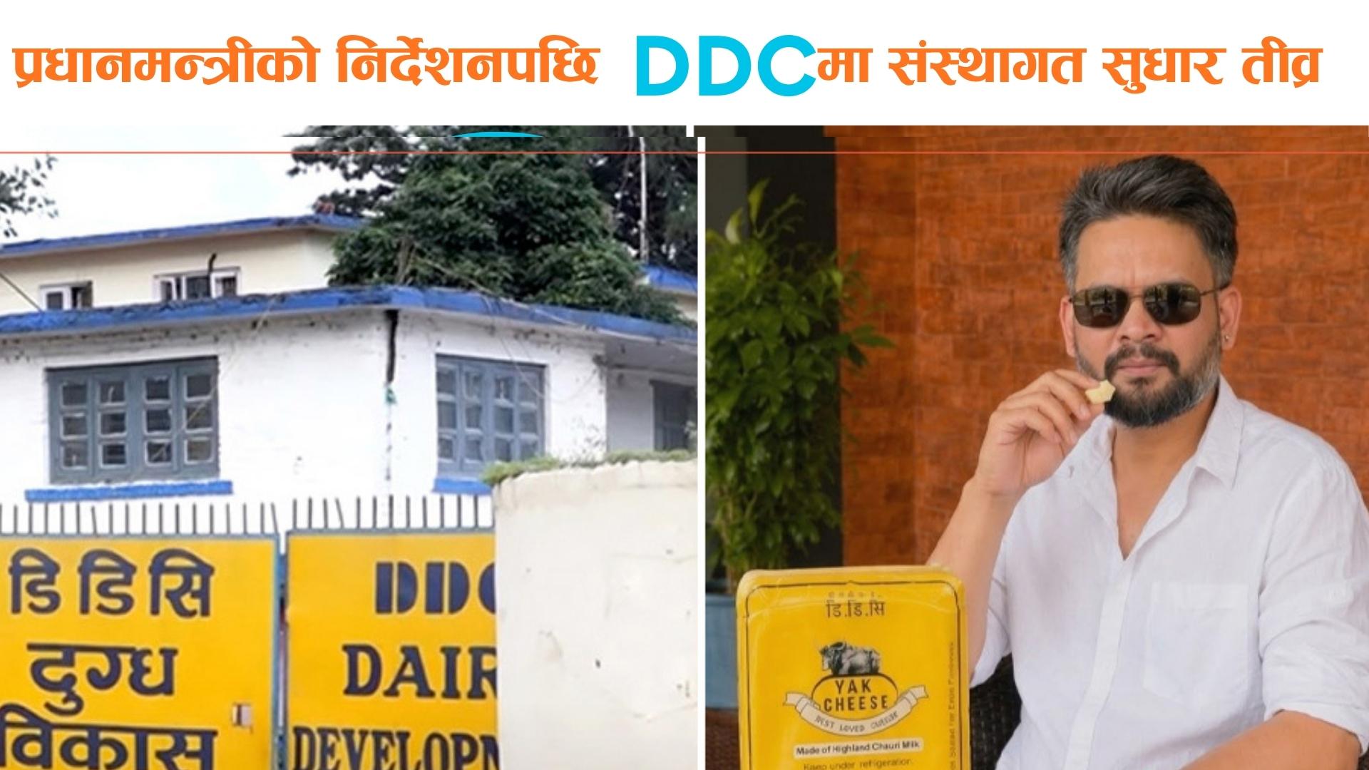 प्रधानमन्त्री कार्यालयको निर्देशनपछि डीडीसीमा संस्थागत सुधार तीव्र