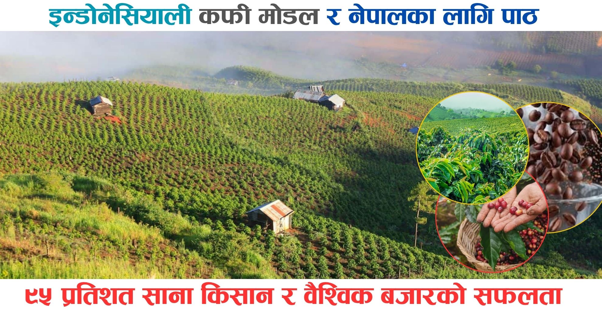 कफीको विश्व मानचित्रमा इन्डोनेसिया: ज्वालामुखीको माटोदेखि ‘कोपी लुवाक’को ब्राण्डिङसम्म